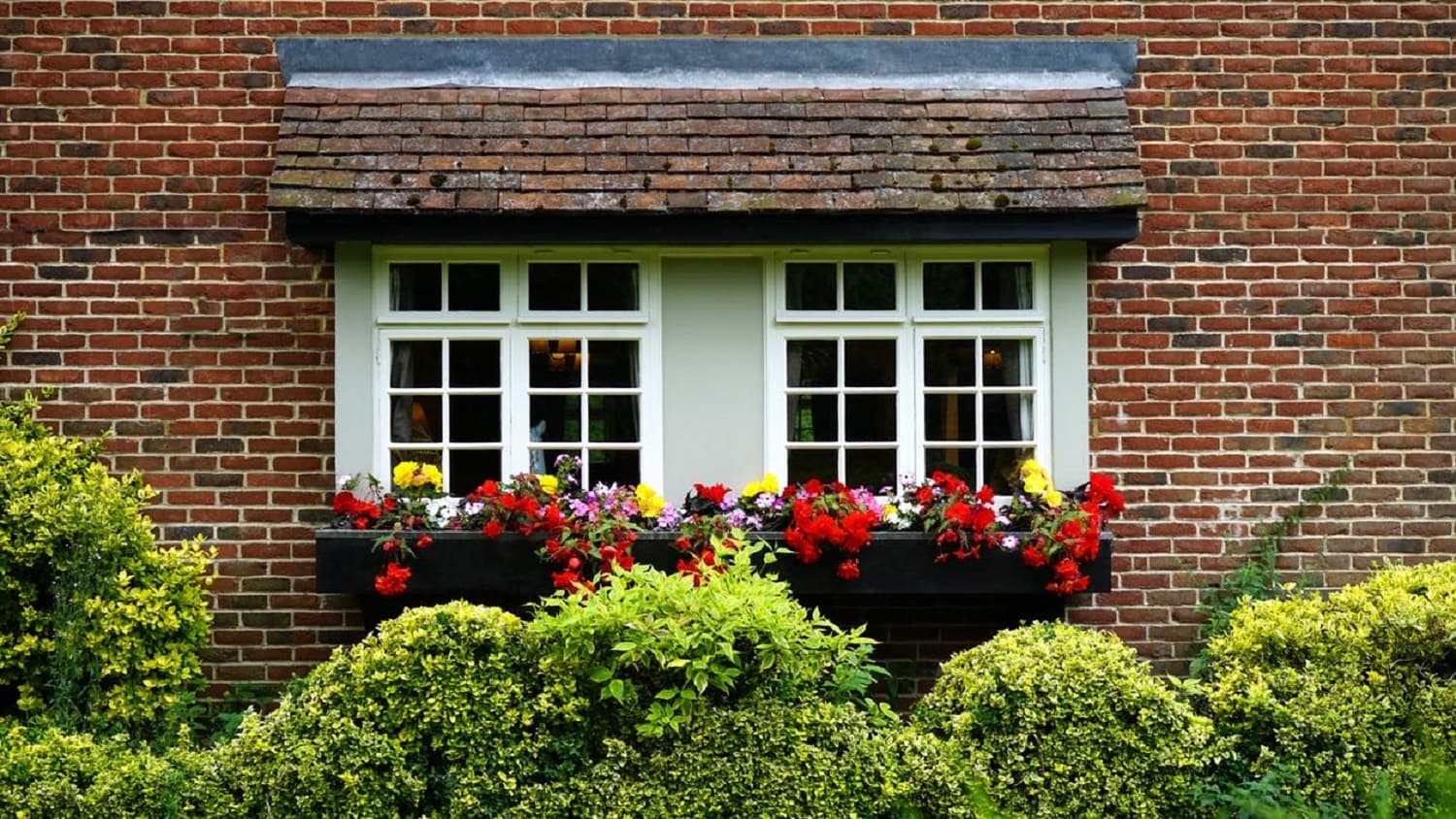 Side window of house with flowers on windowsill