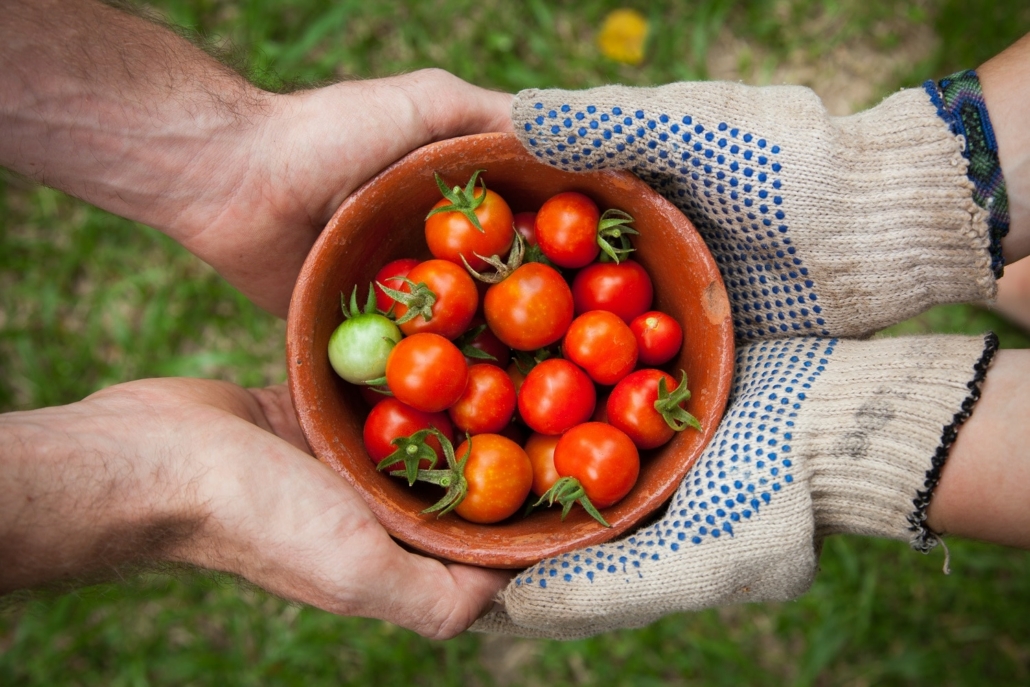 Photo of two urban farmers holding a bowl of tomatoes. Connecting with sellers is a great way to make your offer stand out.