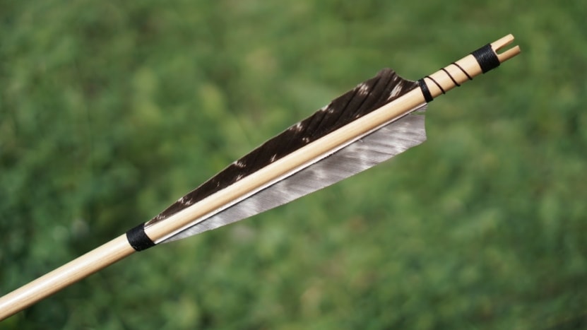 Lessons From a Gruesome Medieval Battle