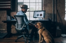 a self employed man wearing a hat sits at his desk and pets his large brown dog