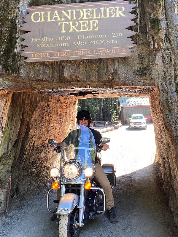 Jay Voorhees sitting on a motorcycle underneath a California Redwood tree