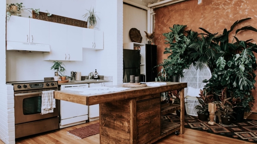 An updated kitchen featuring a bronze wall covering and lots of plants. Homeowners are often surprised when their home improvements don't increase the value of their home as much as they thought.