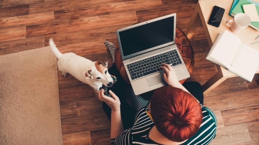a woman interested in a refinance sit on the floor with her laptop and dog while reading about the new 50 point refinance fee by Fannie Mae and Freddie Mac