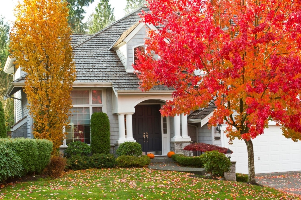 Home with red fall tree in front yard
