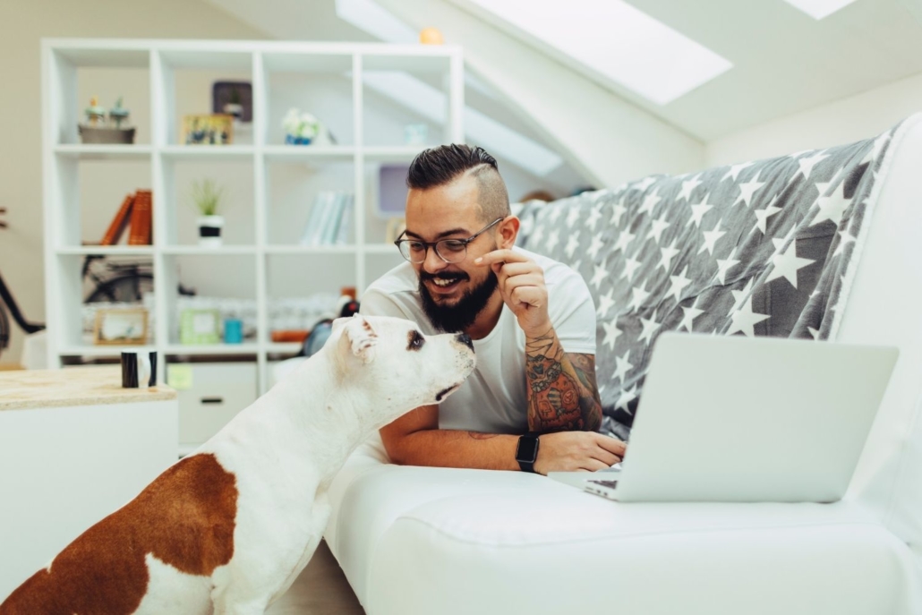 a young man lies on a couch with a laptop in front of him researching the election and mortgage rates. Next to him a large dog puts his face close to the laptop