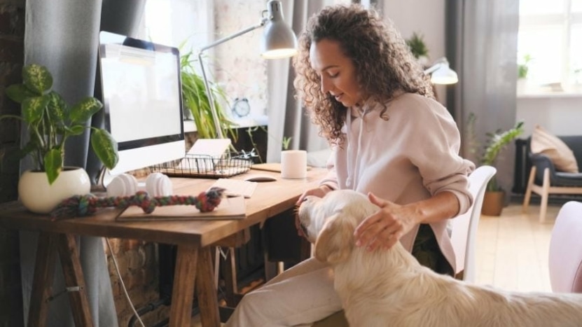 In Defense Of Chaos (Why We Need It)