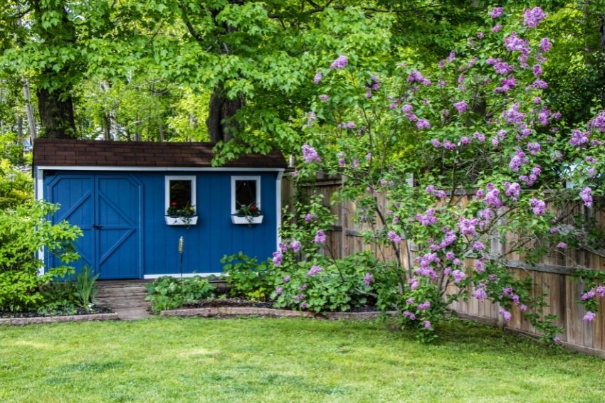 Blue garden shed