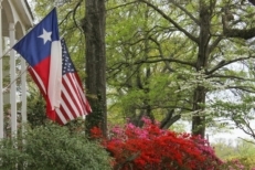 A selective focus of Texas and American Flags in front of a house during Independence day in the USA