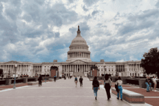 Government Shutdowns – Much Ado About Very Little; The Impact of Shutdowns!