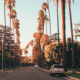 Palm Tree Lined Residential Street In Los Angeles, California