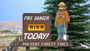 California Burned Down, And The World Is Paying; Insurance Crisis Part IX