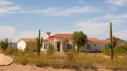 A house in Arizona with cacti surrounding it and grass