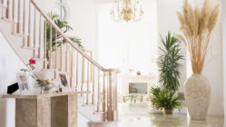 Inside of a house showing a staircase and pots of plants