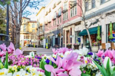 Scenery of the flower bed in the street