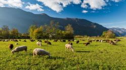 We’ve Got Land & Lot Loans; Danger: Financial Conditions Nobody Has EVER Seen!