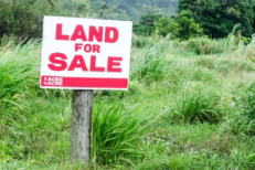 A picture of a land for sale