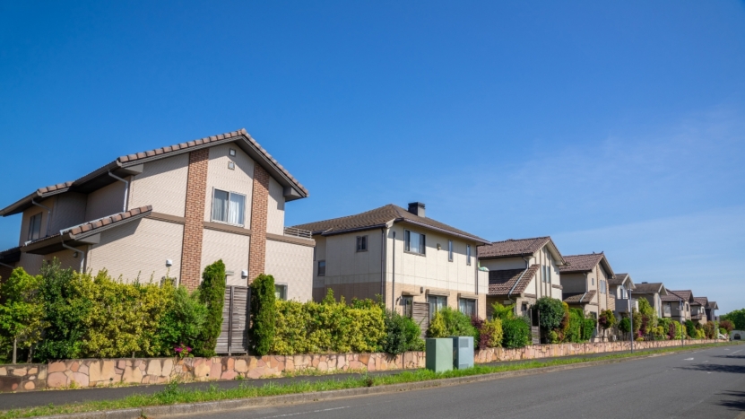 Vallejo Schools: A Clear Guide for Homebuyers