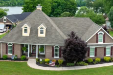 A great house to be in with fresh greenery outside.