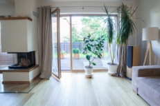 Indoor pic of living room with plants as design